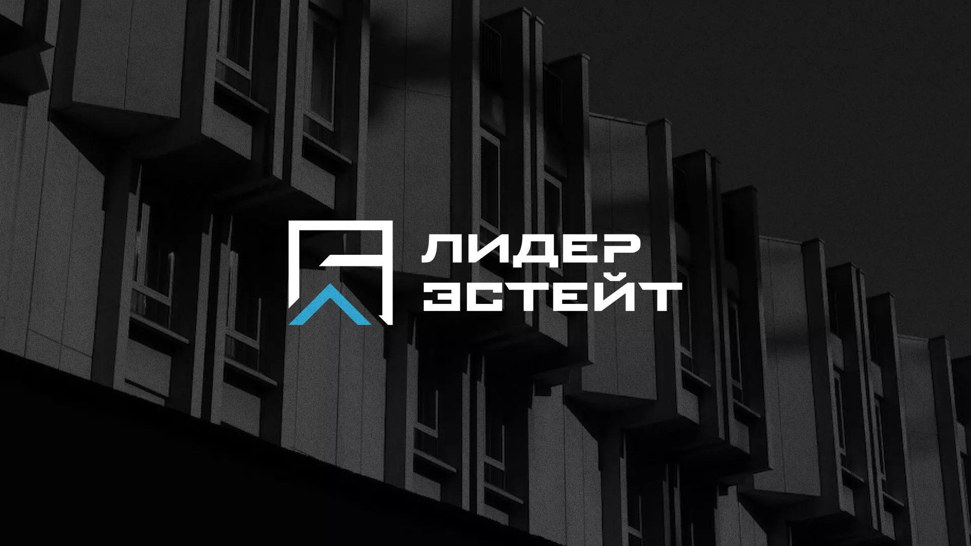 Разработка логотипа агентства недвижимости «Лидер Эстейт» в Хадыженске